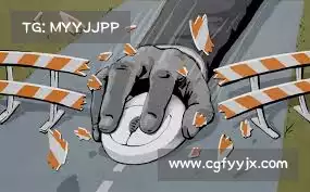 香蕉加速器安卓版下载——守护数字生活，让您尽情享受安全无忧的在线体验！